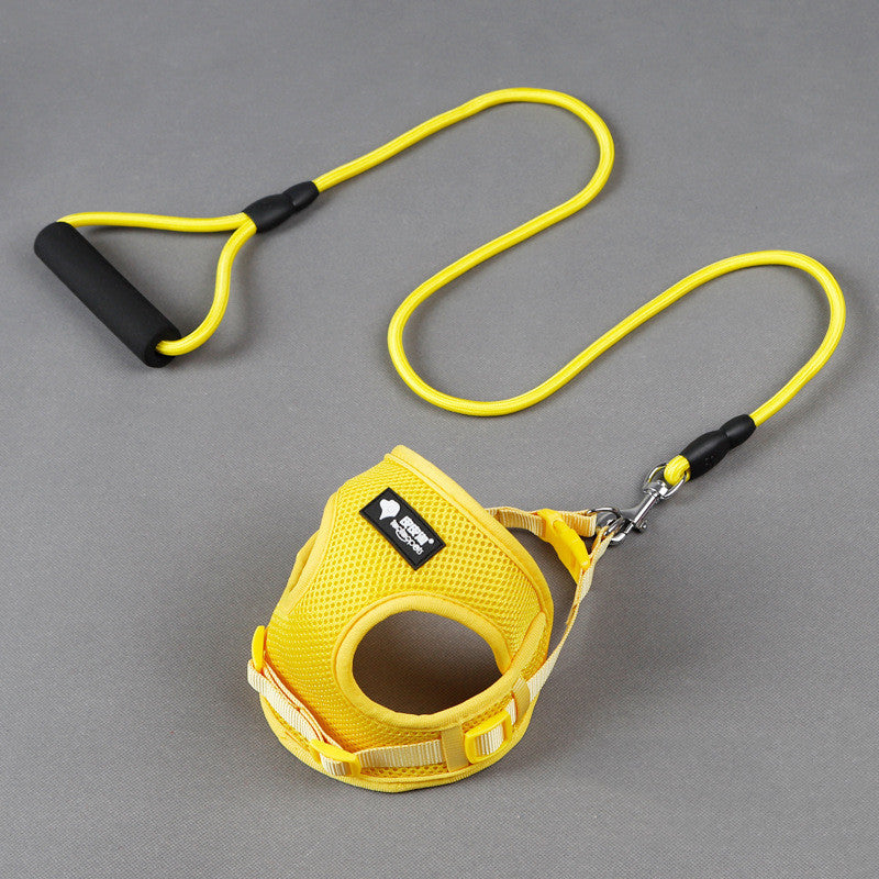 Dog Leash/Dog Collar