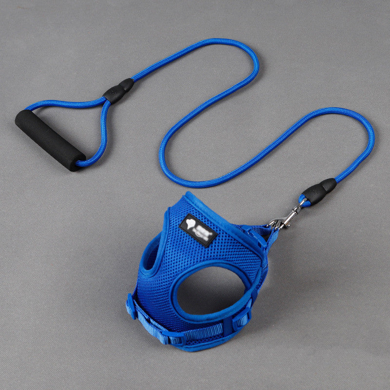 Dog Leash/Dog Collar