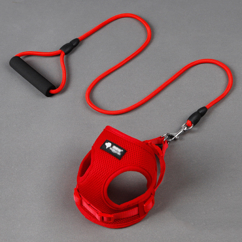 Dog Leash/Dog Collar